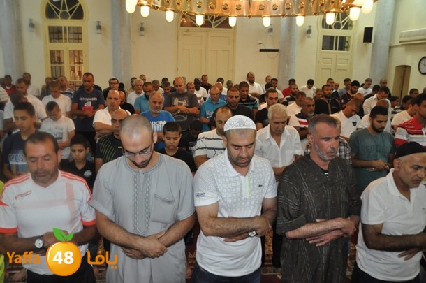 tarawe7 nozhas j (7).JPG